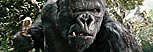 King Kong (Peter Jackson) DVD