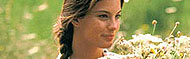 Belleza Robada DVD
