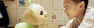 CJ7 DVD