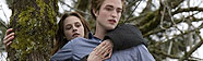 Crepsculo - Edicin Especial Blu-ray