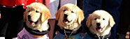 Space Buddies DVD