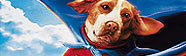 Superdog Blu-ray