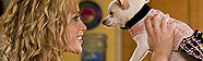 Un Chihuahua en Beverly Hills DVD